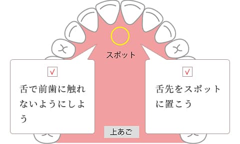 舌の位置で呼吸法が左右されます