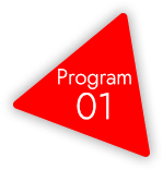 program