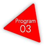 program